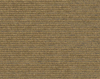 [300111137_25] On Line - 105252 Lichen